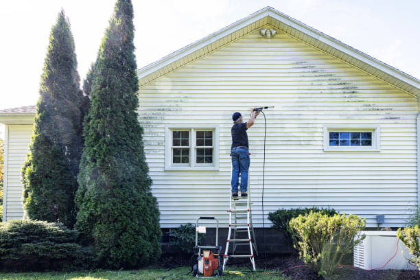 Best Commercial Building Pressure Washing  in Concord, MI